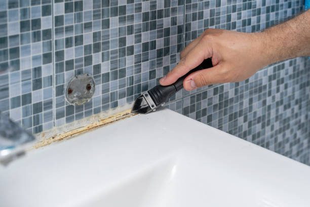 Reliable Nixa, MO Mold Removal Solutions