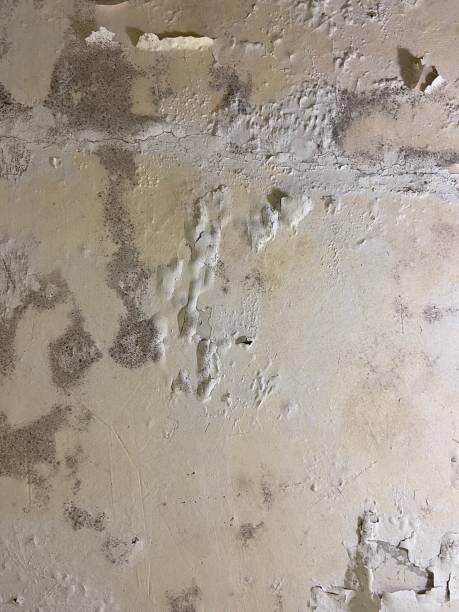 Water Damage Restoration in Nixa, MO