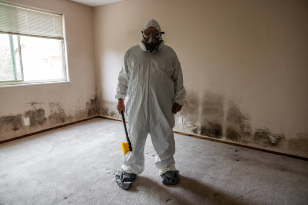 Mold Removal Process in Nixa, MO